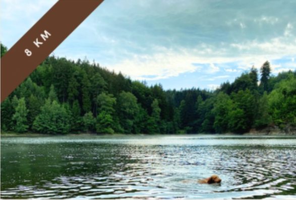 Tvrdkovská přehrada – 8 km